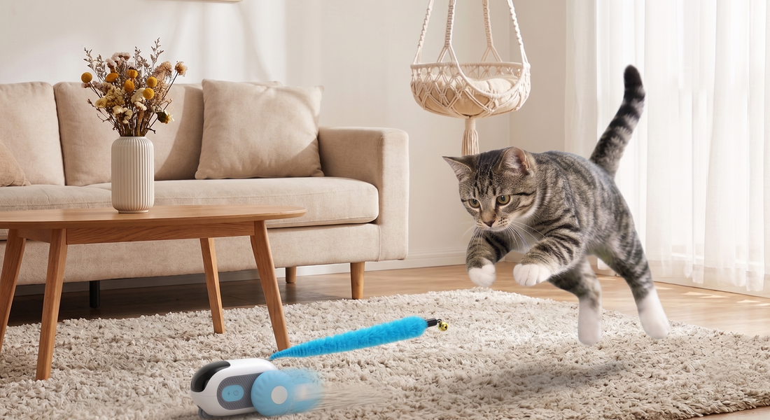 Keep Your Indoor Cat Happy: Simple Enrichment Tips That Work