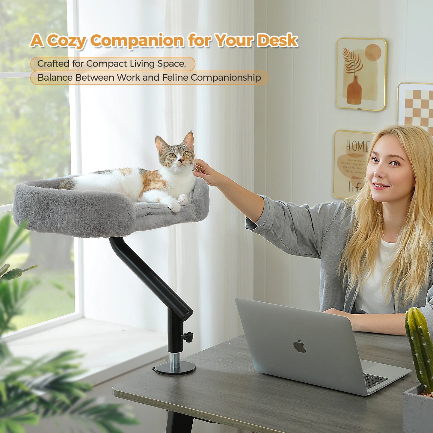 PurrPerch Pro