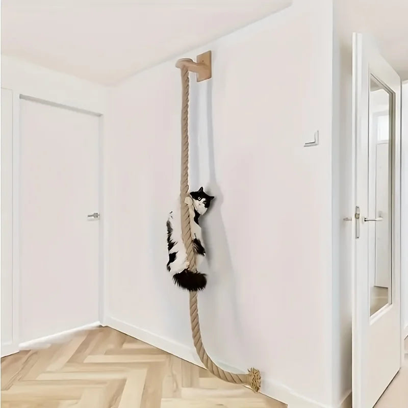 PurrClimb Wall Set