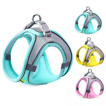 SafeStep Harness