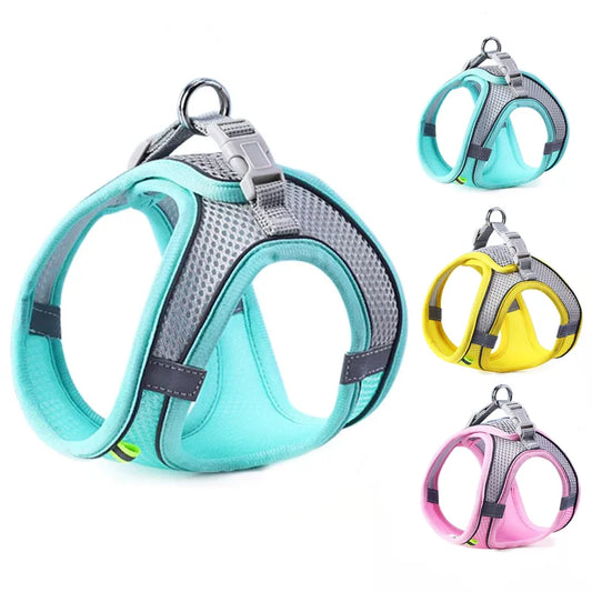 SafeStep Harness