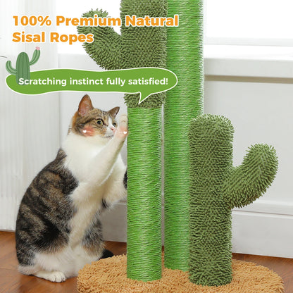 CactusPurr Tower