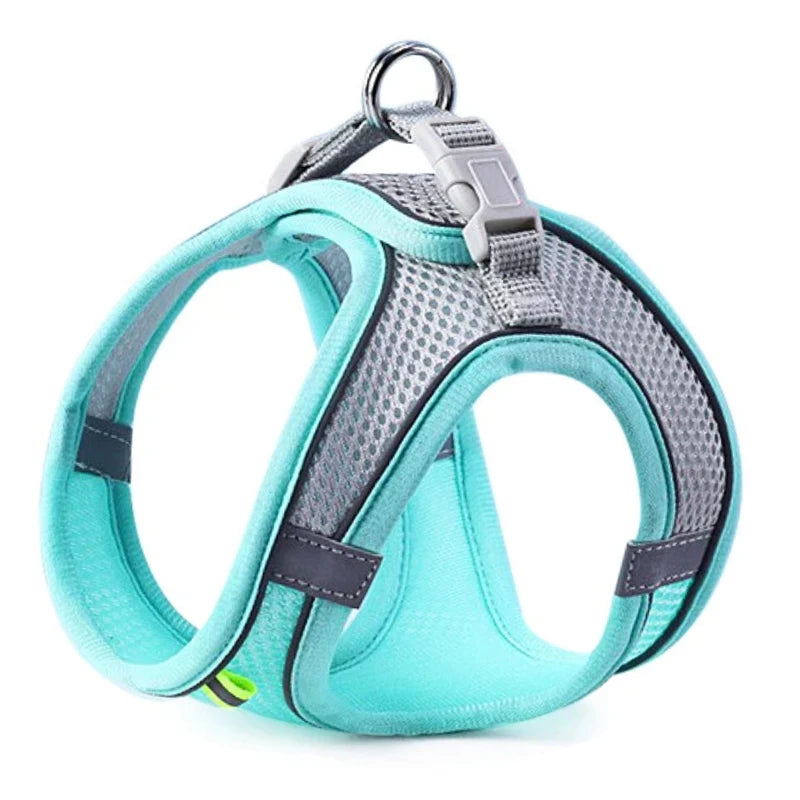 SafeStep Harness