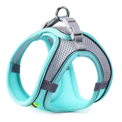 SafeStep Harness