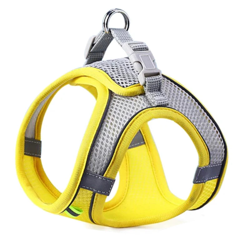 SafeStep Harness