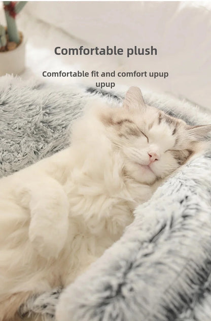 CozyShell Bed