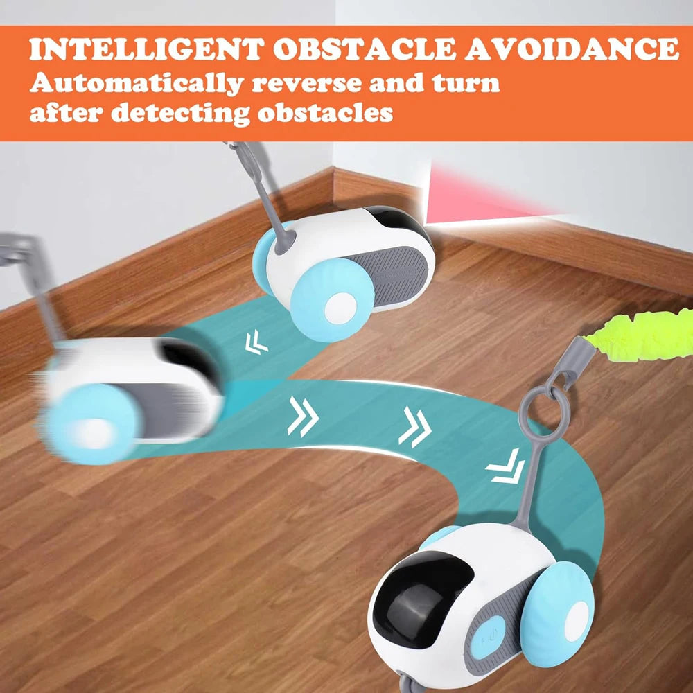 RoboKitty Car