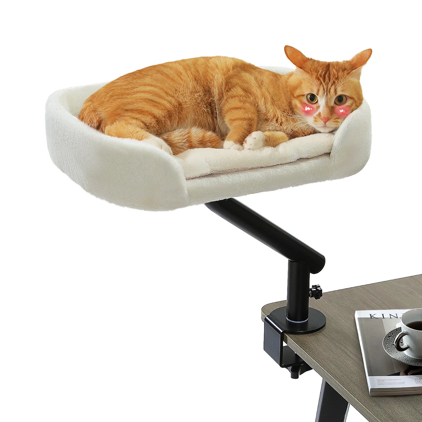 PurrPerch Pro