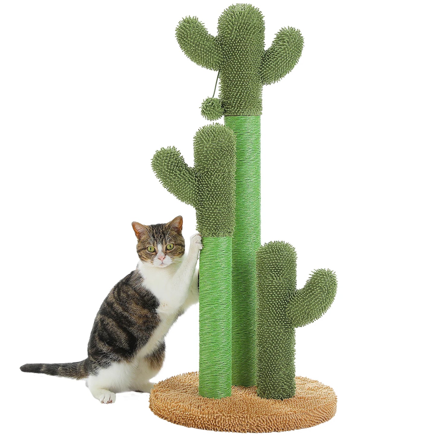 CactusPurr Tower