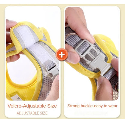 SafeStep Harness