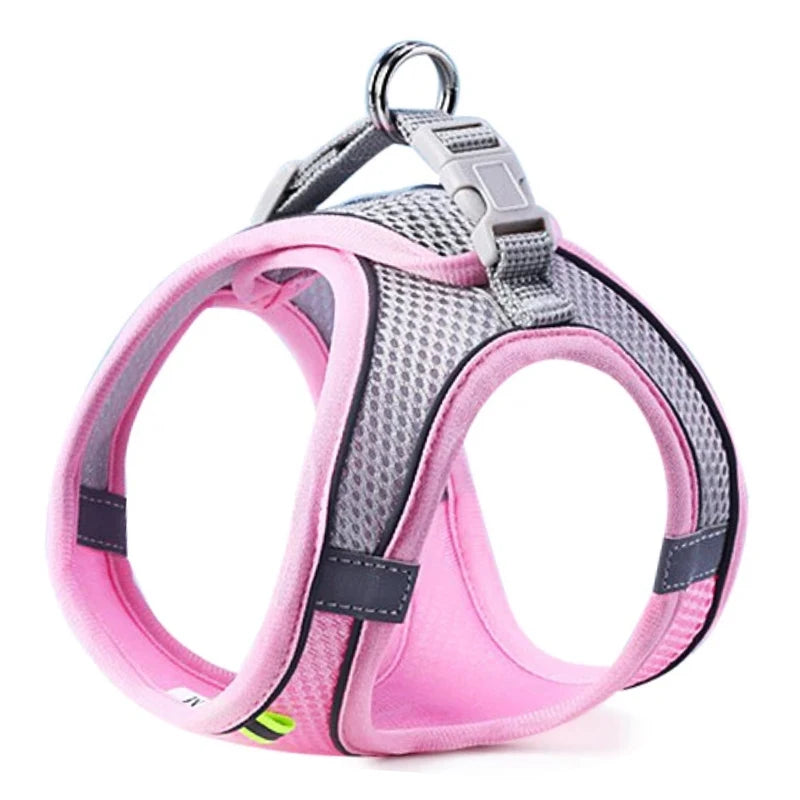 SafeStep Harness