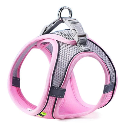 SafeStep Harness