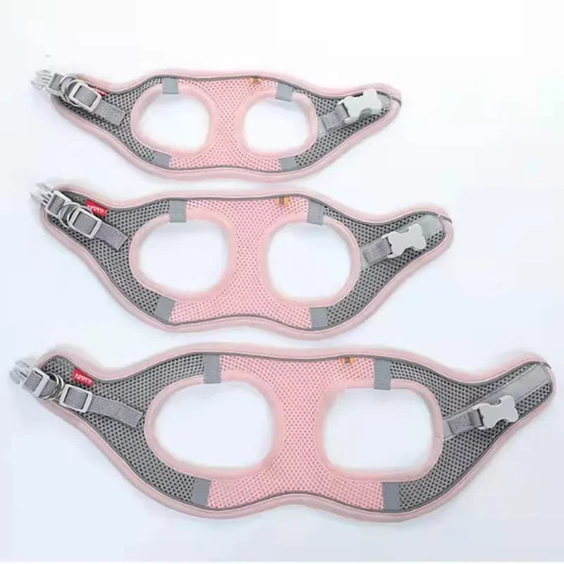 SafeStep Harness