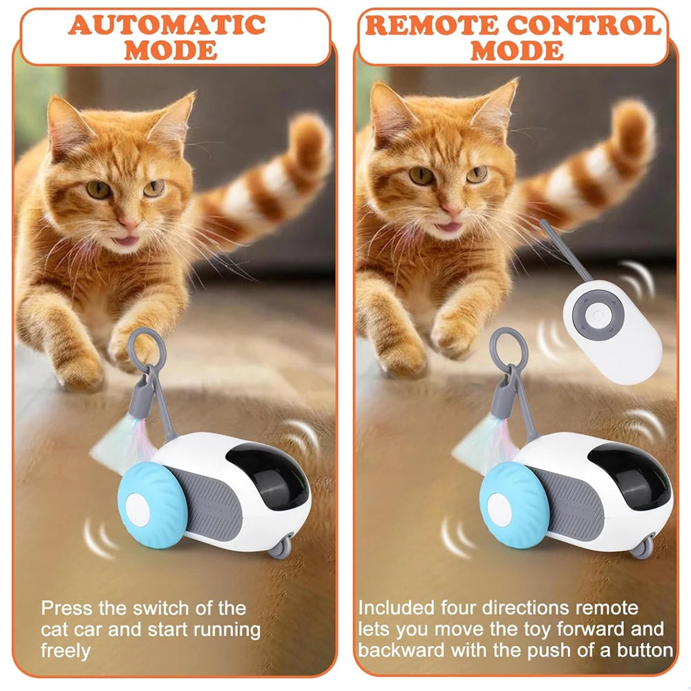 RoboKitty Car