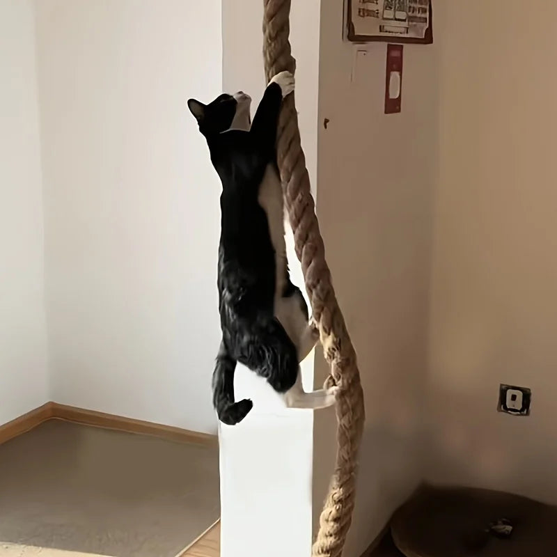 PurrClimb Wall Set