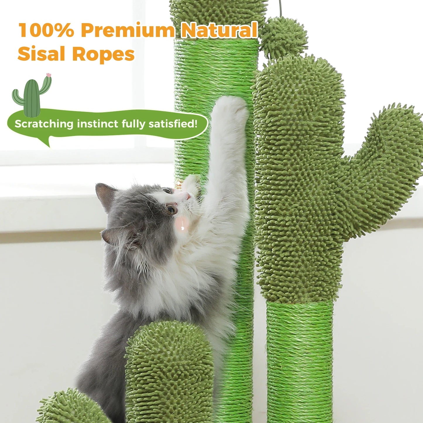CactusPurr Tower
