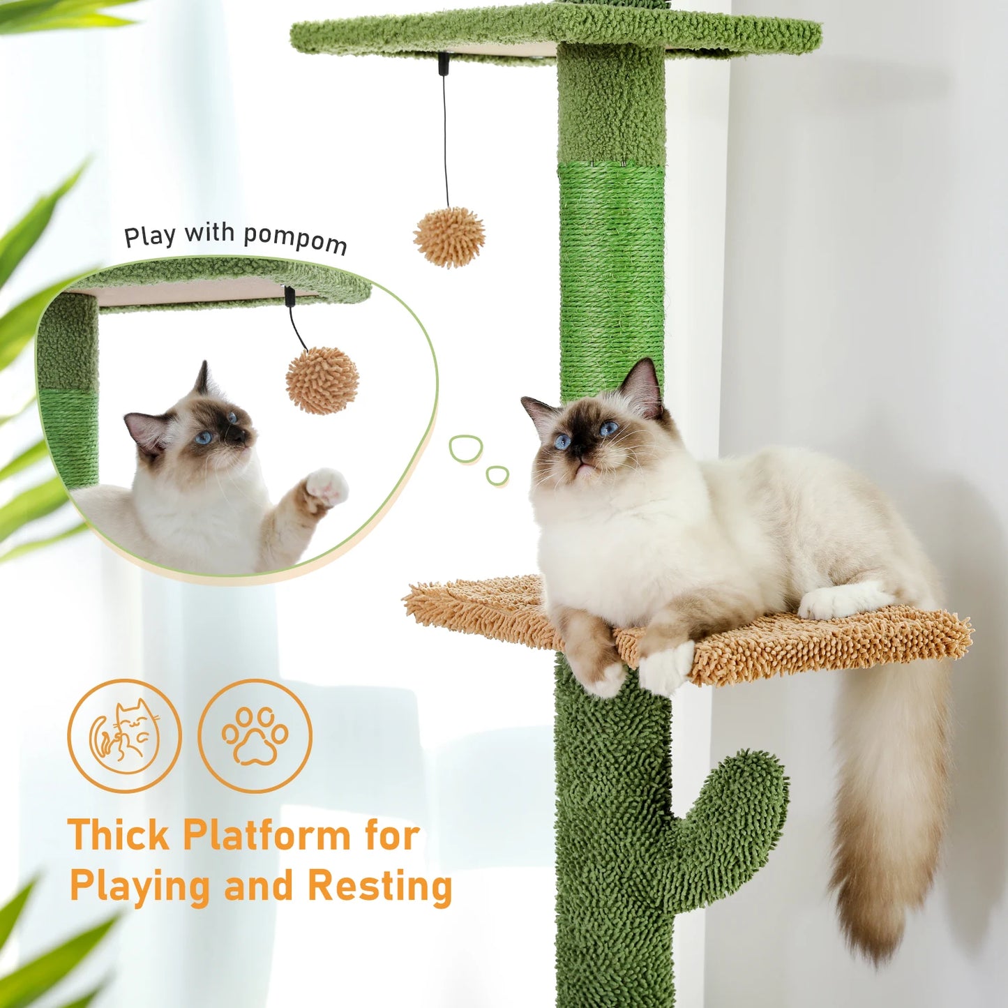 PurrSky 5 Level Climber