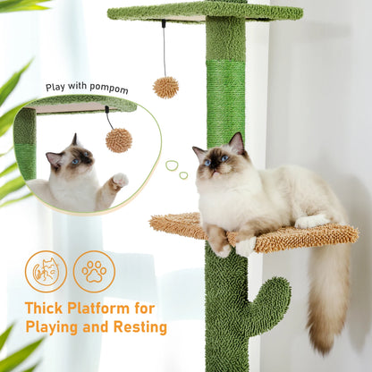 PurrSky 5 Level Climber