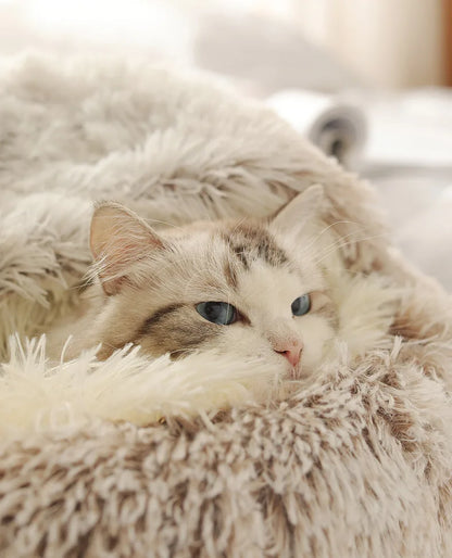 CozyShell Bed
