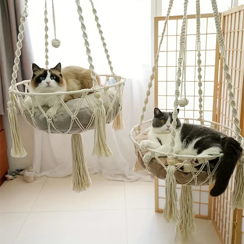 CloudPaw Hammock