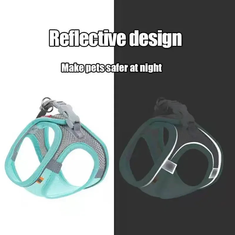 SafeStep Harness