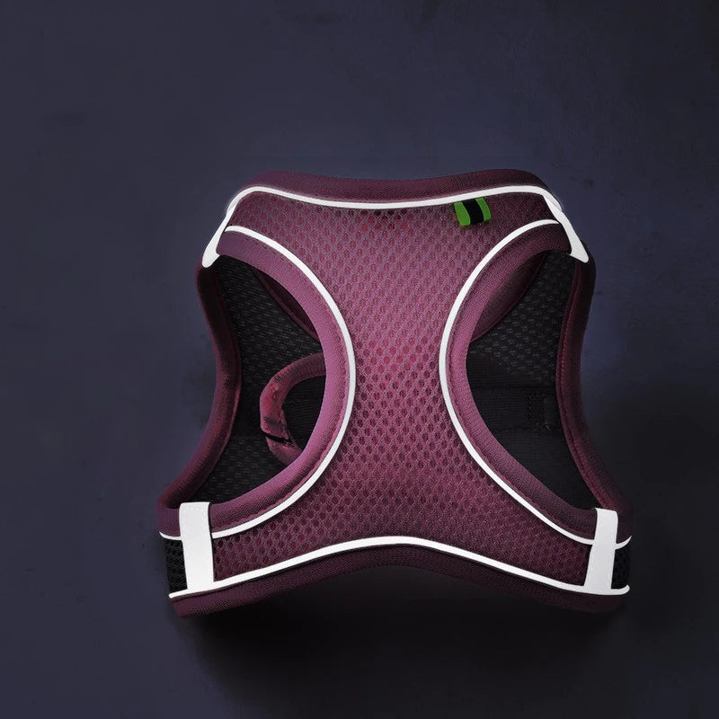SafeStep Harness