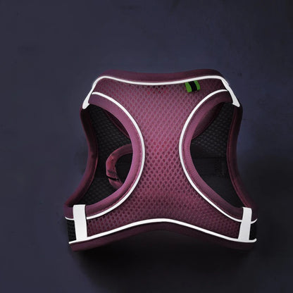 SafeStep Harness