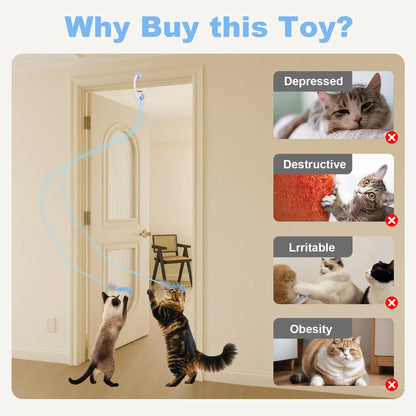 PurrSwing Pro