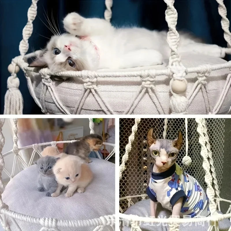 CloudPaw Hammock
