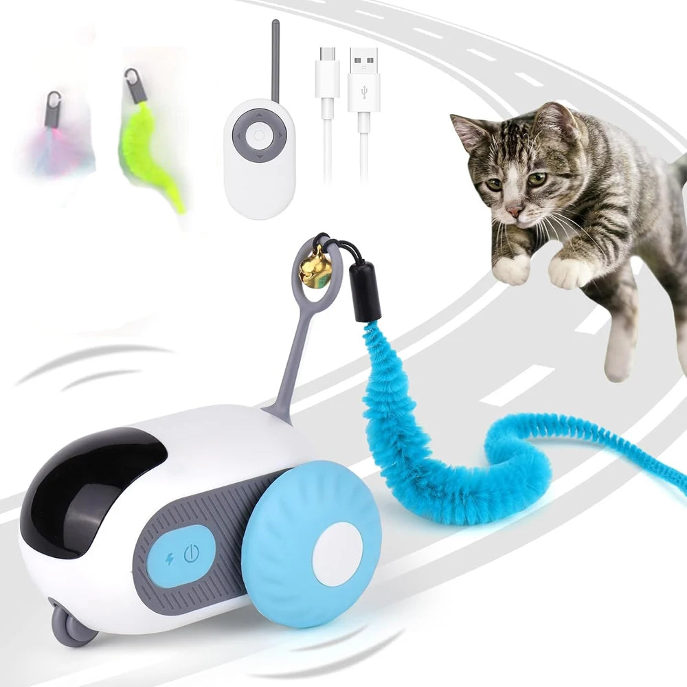 RoboKitty Car