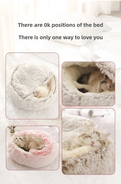 CozyShell Bed